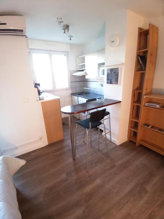 Studio Santa Monica - Climatise - Piscine - Parking Тулуза Екстериор снимка