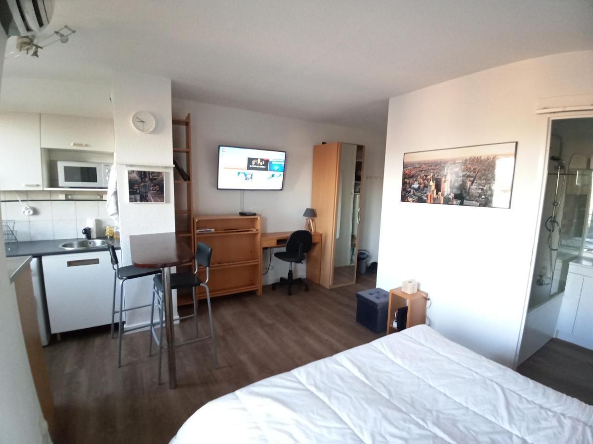 Studio Santa Monica - Climatise - Piscine - Parking Тулуза Екстериор снимка