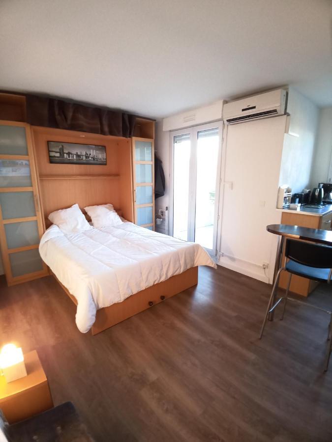 Studio Santa Monica - Climatise - Piscine - Parking Тулуза Екстериор снимка