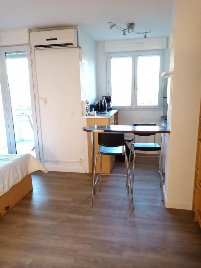 Studio Santa Monica - Climatise - Piscine - Parking Тулуза Екстериор снимка